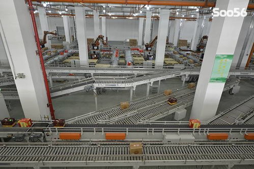 双沟酒业包装物流中心自动化物流系统的软件研发与创新