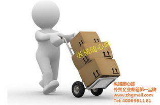 企业邮箱与物流软件研发双管齐下 深圳纵横网络的认证优势与专业选择